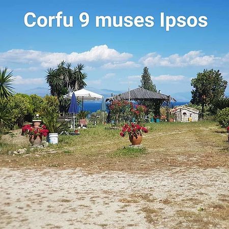 Corfu 9 Muses Ipsos Appartamento Esterno foto